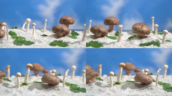人造菇，蘑菇 香菇4K 左右移动