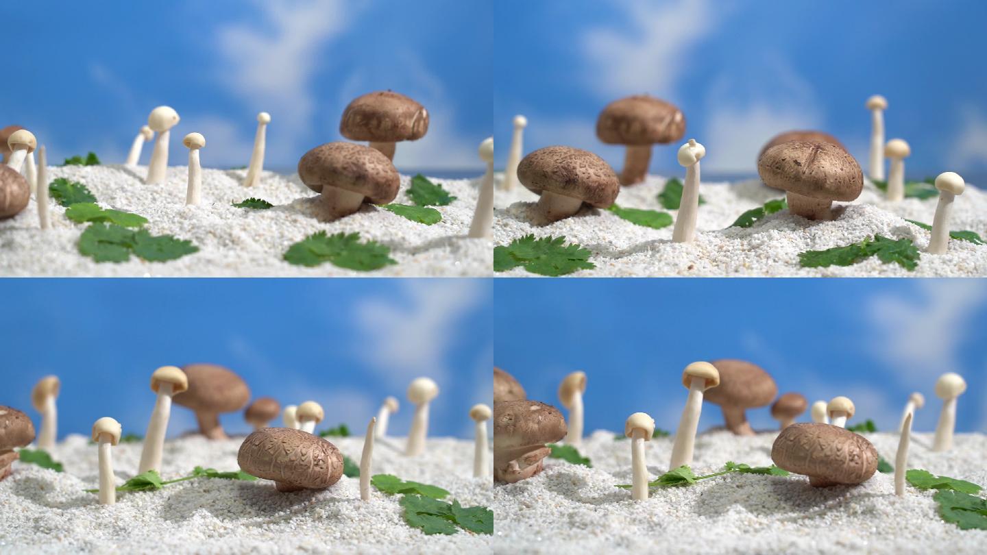 人造菇，蘑菇 香菇4K 左右移动