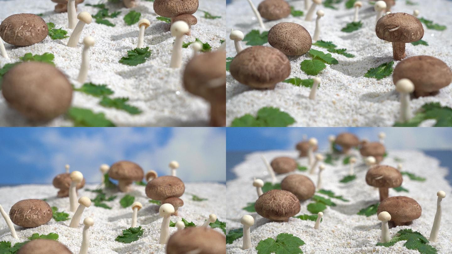 4K蘑菇场景 向前推拉