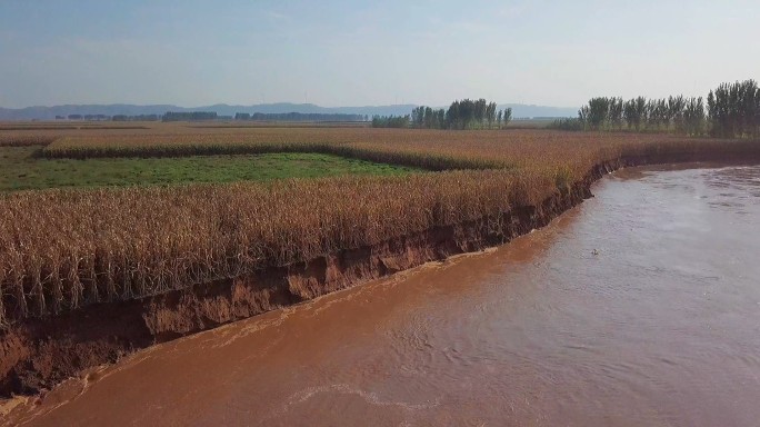 沁河玉米地洪水水土流失航拍