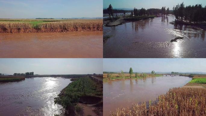 沁河玉米地洪水水土流失航拍