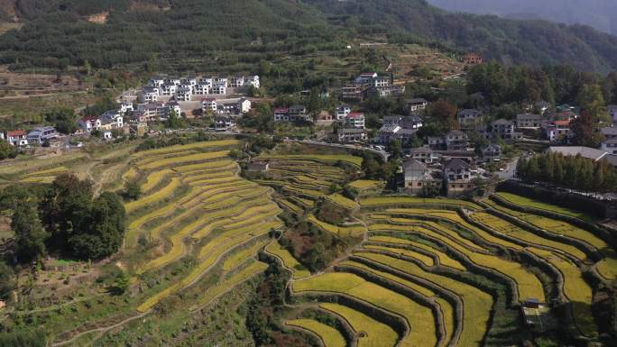 杭州 临安 指南村 梯田