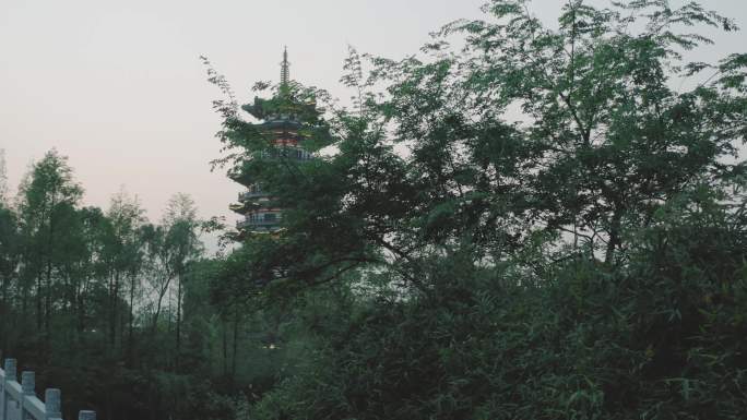 绿树掩映中的白鹭塔