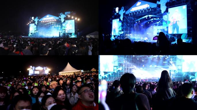 音乐会音乐节观众游客欢呼舞蹈兴奋视频素材