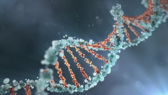 DNA分子动画