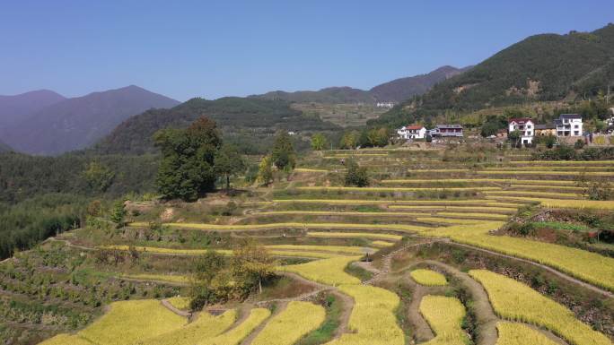 杭州 临安 指南村 梯田