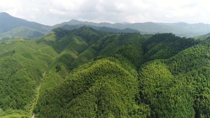 青山航拍