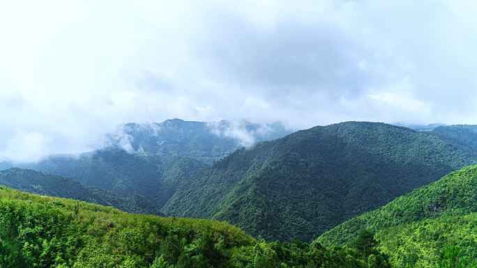 高山云雾 延时摄影【FHD】