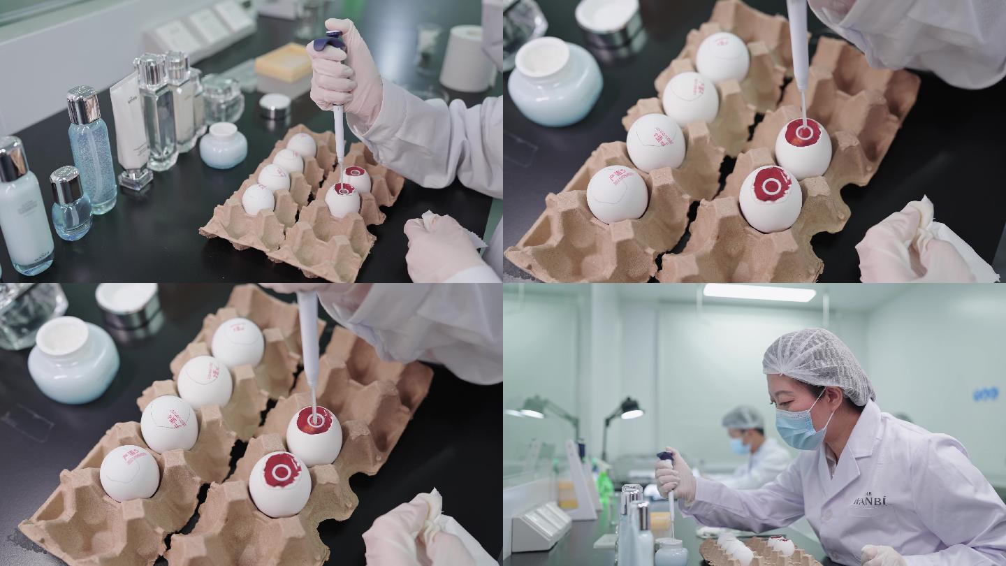 化妆品鸡胚测试实验