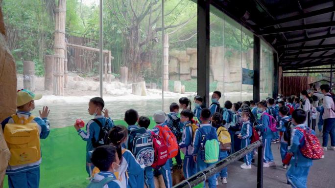 广州长隆野生动物园学生团旅游观光