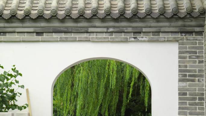 中式建筑拱门后的垂柳