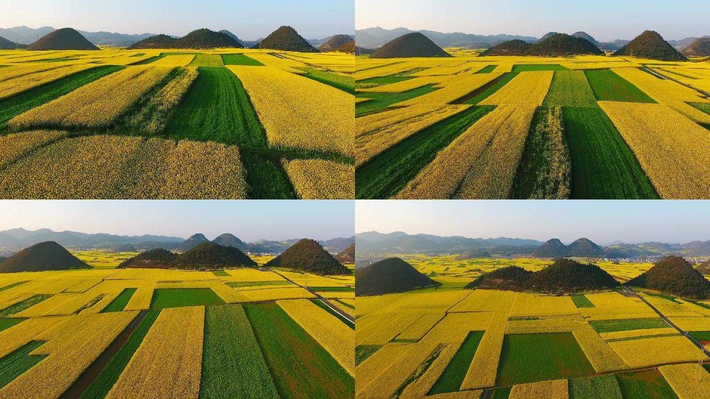 万亩油菜花