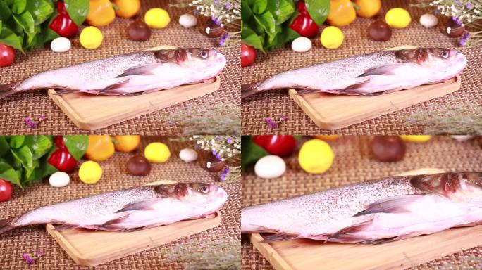 白鲢鱼胖头鱼 (4)