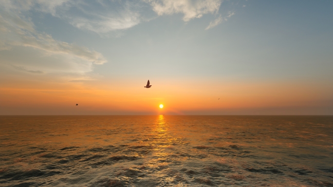 海边日落、海鸥飞翔