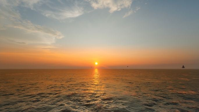 海边日落、海鸥飞翔