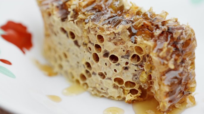 农业 土蜂蜜 蜜蜂养殖 蜜蜂 蜂巢蜜