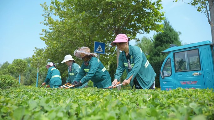 修剪草坪