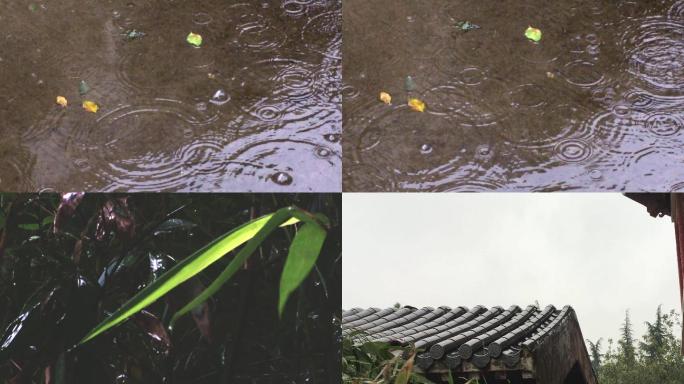 下雨屋檐滴水雨中松针 竹子 竹叶 意境