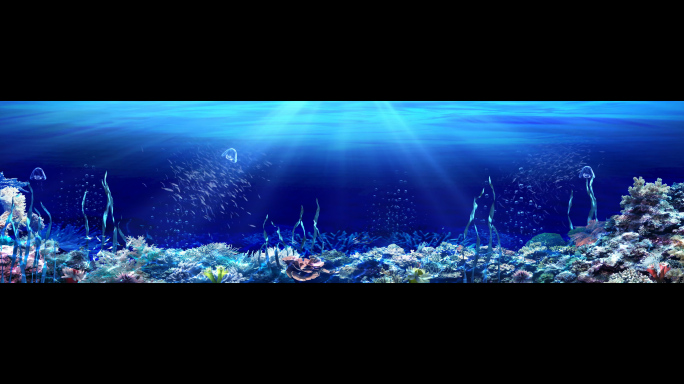 8K海底世界视频素材