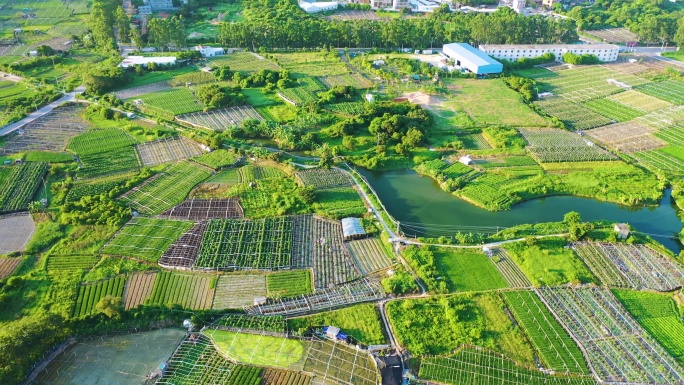 绿色田野美如画，乡村振兴新农村建设