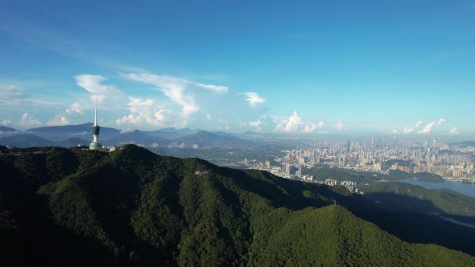 深圳梧桐山