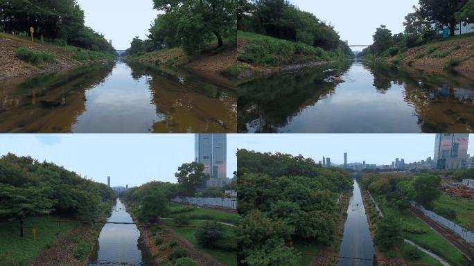 深圳河道视频污水处理厂流出的清澈河水