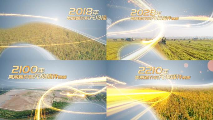 大闸蟹 螃蟹 田蟹养殖