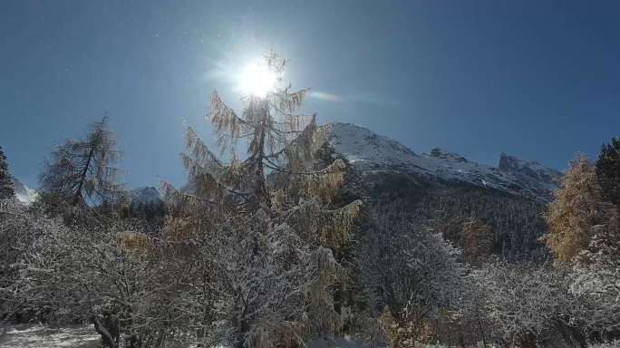 雪山森林飘雪-阳光照耀