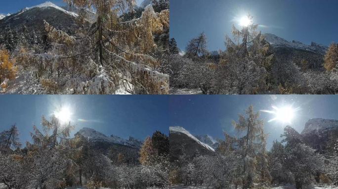 雪山森林飘雪-阳光照耀