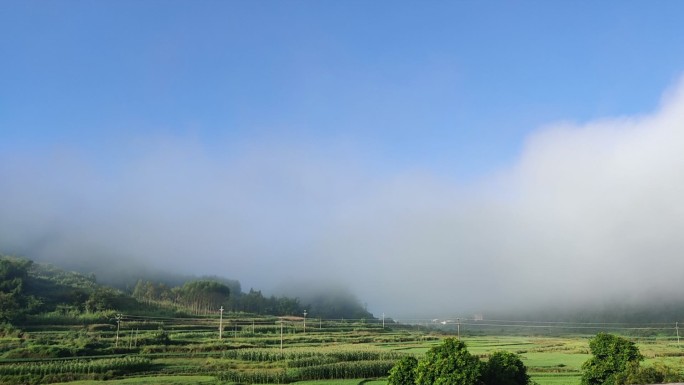 山区农村乡村清晨大雾消散延时