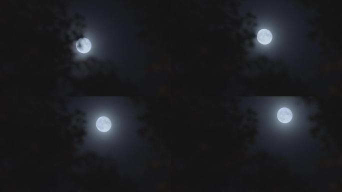月亮升起2