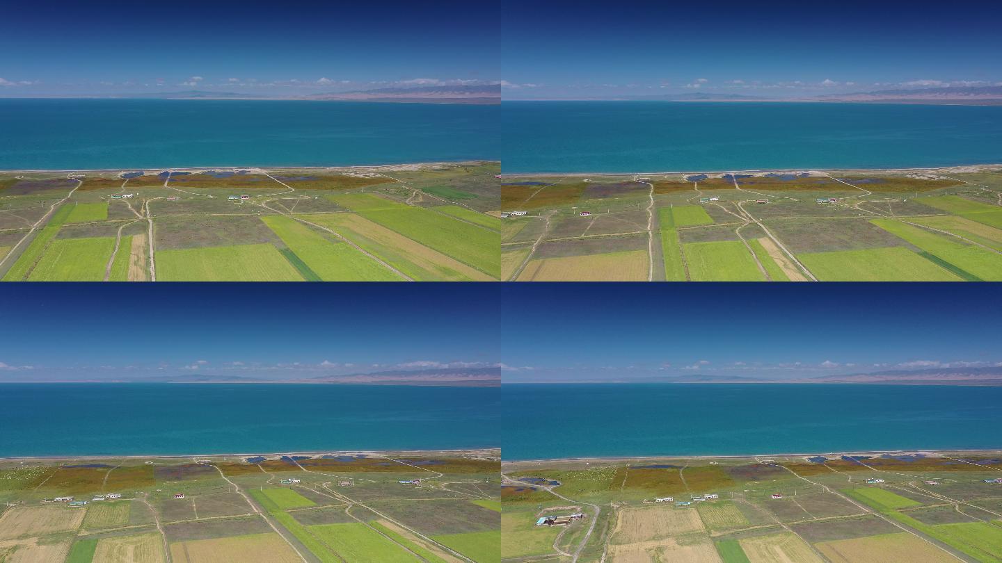 青海_青海湖_淡水湖_亚洲第一淡水湖_3840x2160_高清视频素材下载