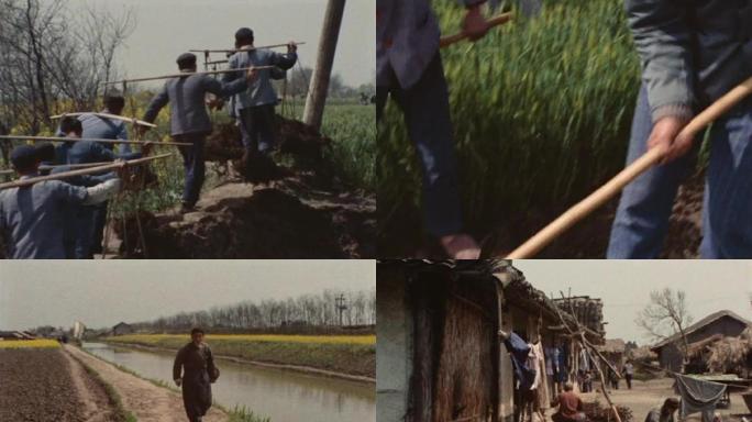 70年代上海农忙