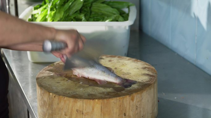 鲫鱼 鱼  新鲜鱼 酸菜鱼 杀鱼