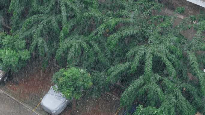 城市暴雨