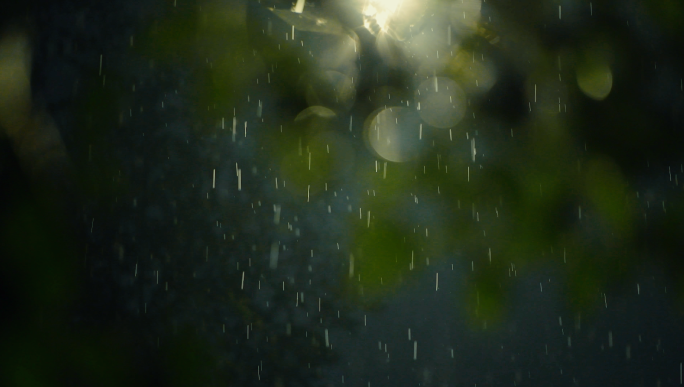 下雨 雨 路灯 雨夜