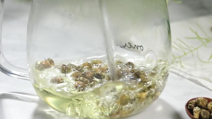 胎菊、胎菊展示泡水