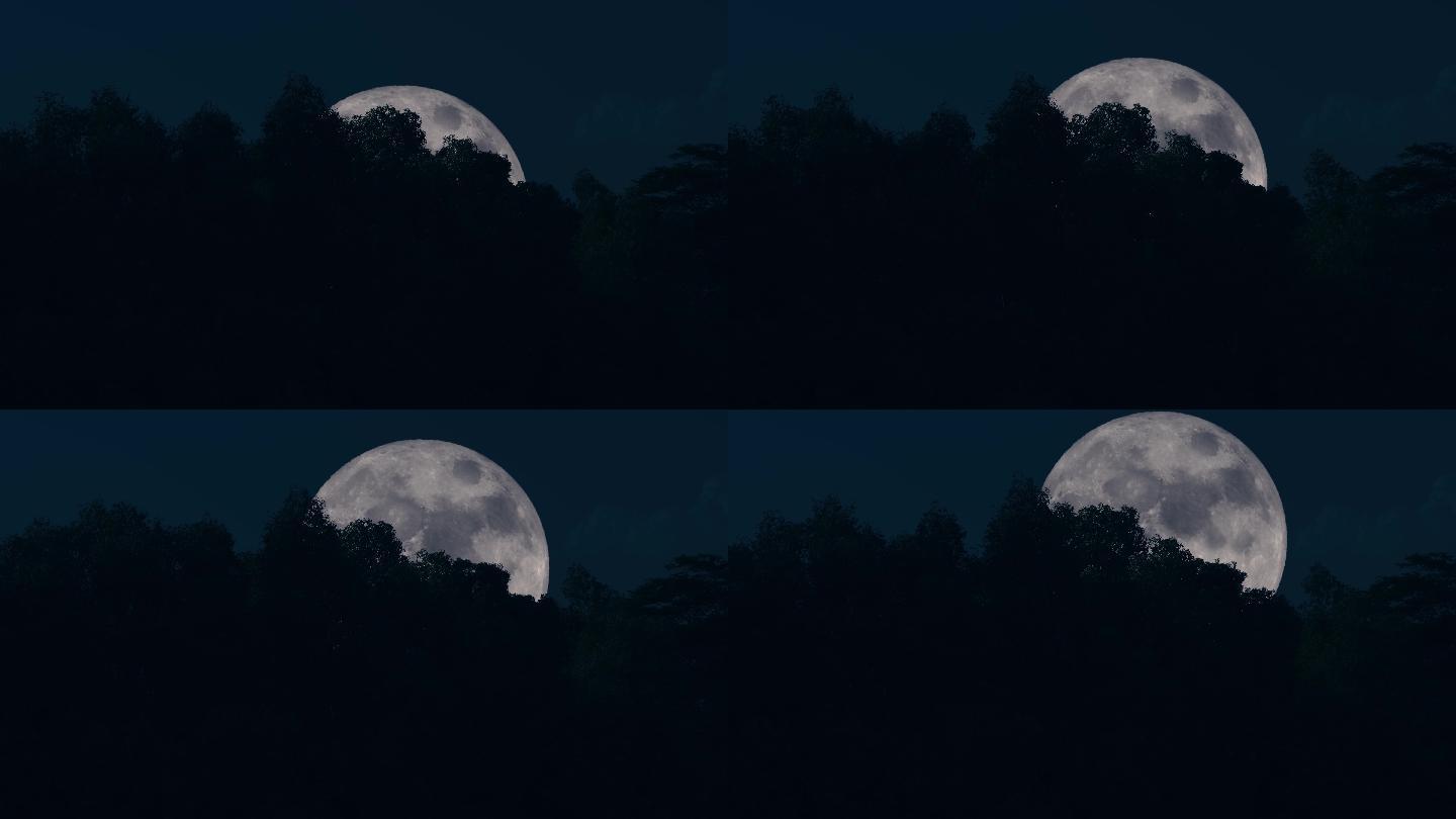 月亮从树林后面升起