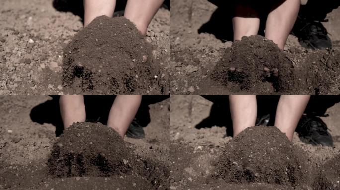 升格拍摄手捧土壤，肥沃的黑土壤