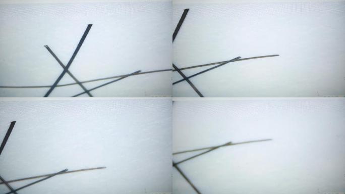 电子显微镜观察发丝毛鳞片 (3)