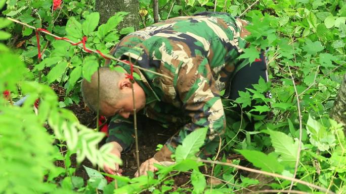 拜山 挖参 人参 山林 活动 民俗 放山