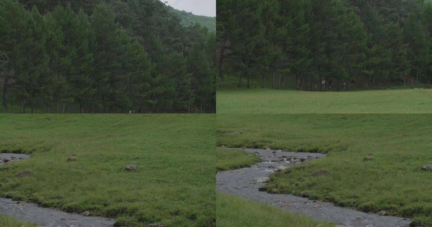 伊春金山鹿苑草坪河水