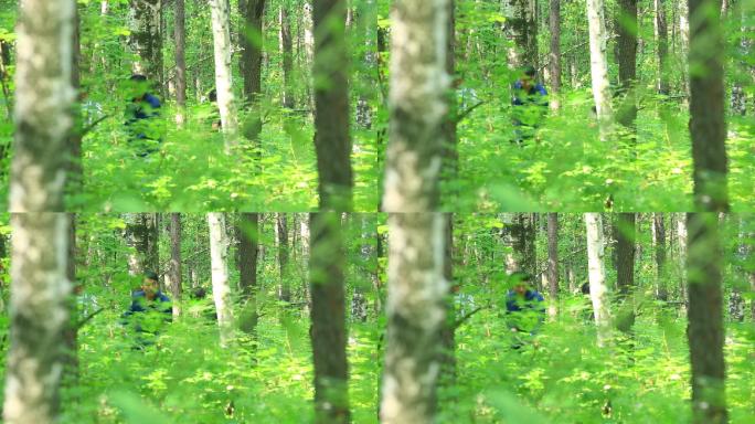 拜山 挖参 人参 山林 活动 民俗 放山