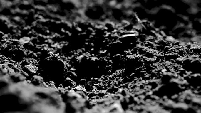 泥土 土壤黑土地肥沃视频素材