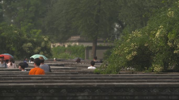 万花阵中转迷宫的游客