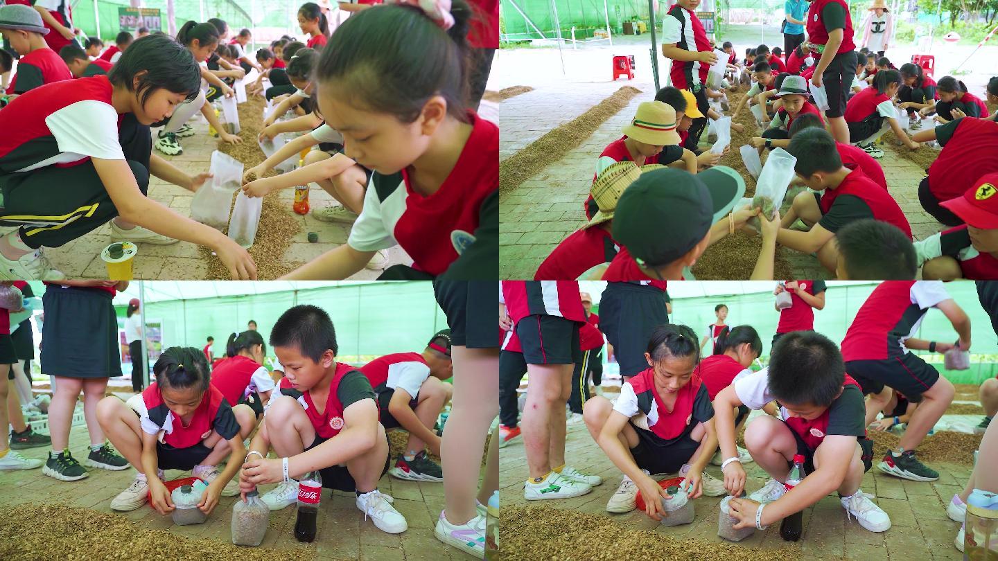 高明蘑菇小镇学生体验农耕