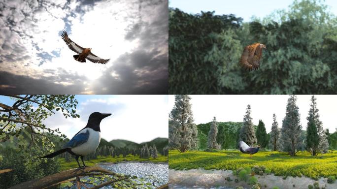 10种动物森林里走动三维动画视频素材