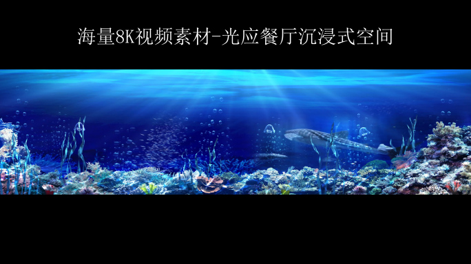 8K海底世界