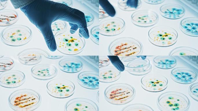 微生物学实验室基因研究制造分析