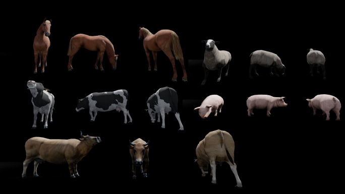 黄牛、奶牛、马、羊、猪